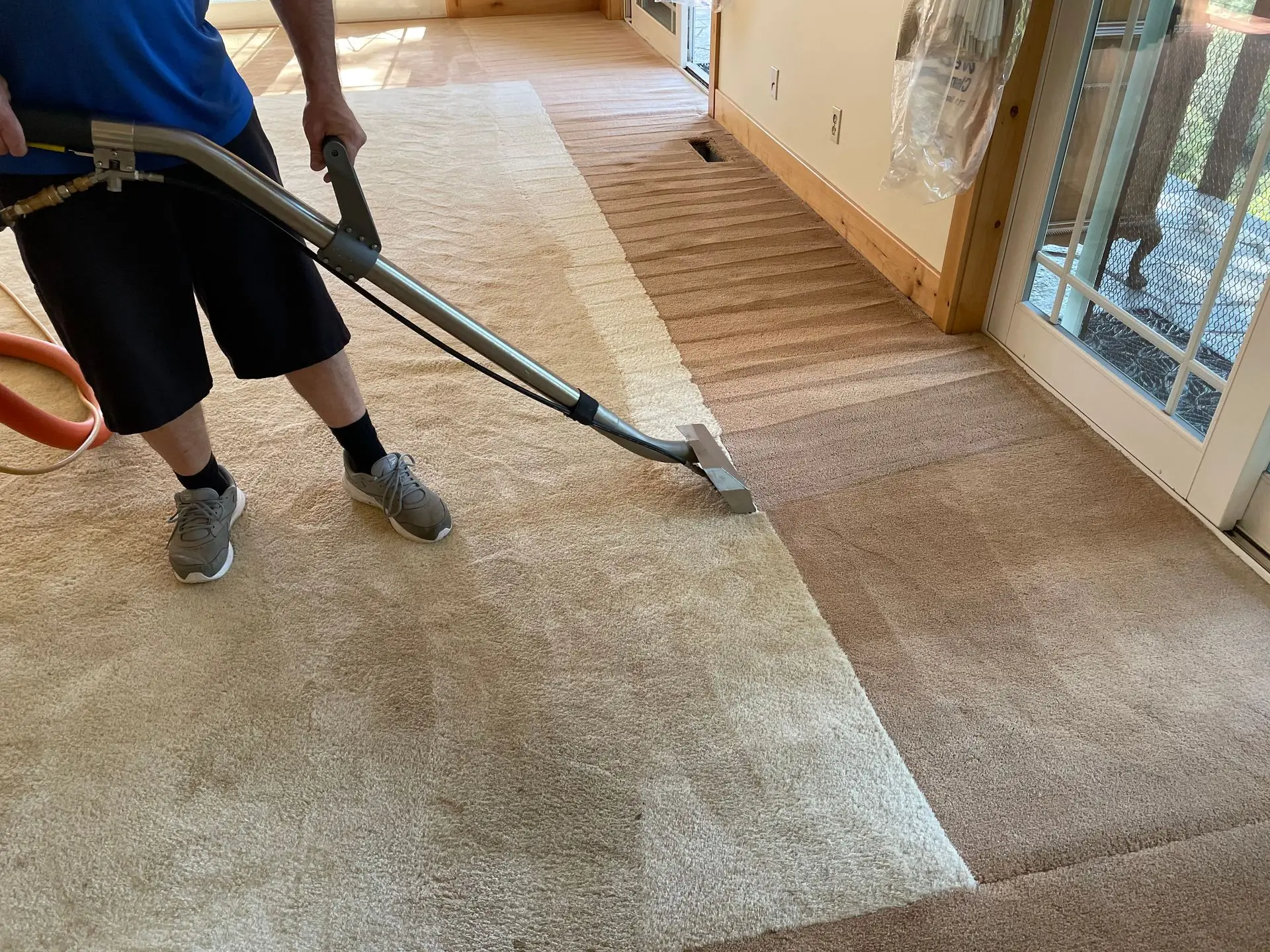 Grants Pass Professional Carpet Cleaning Services