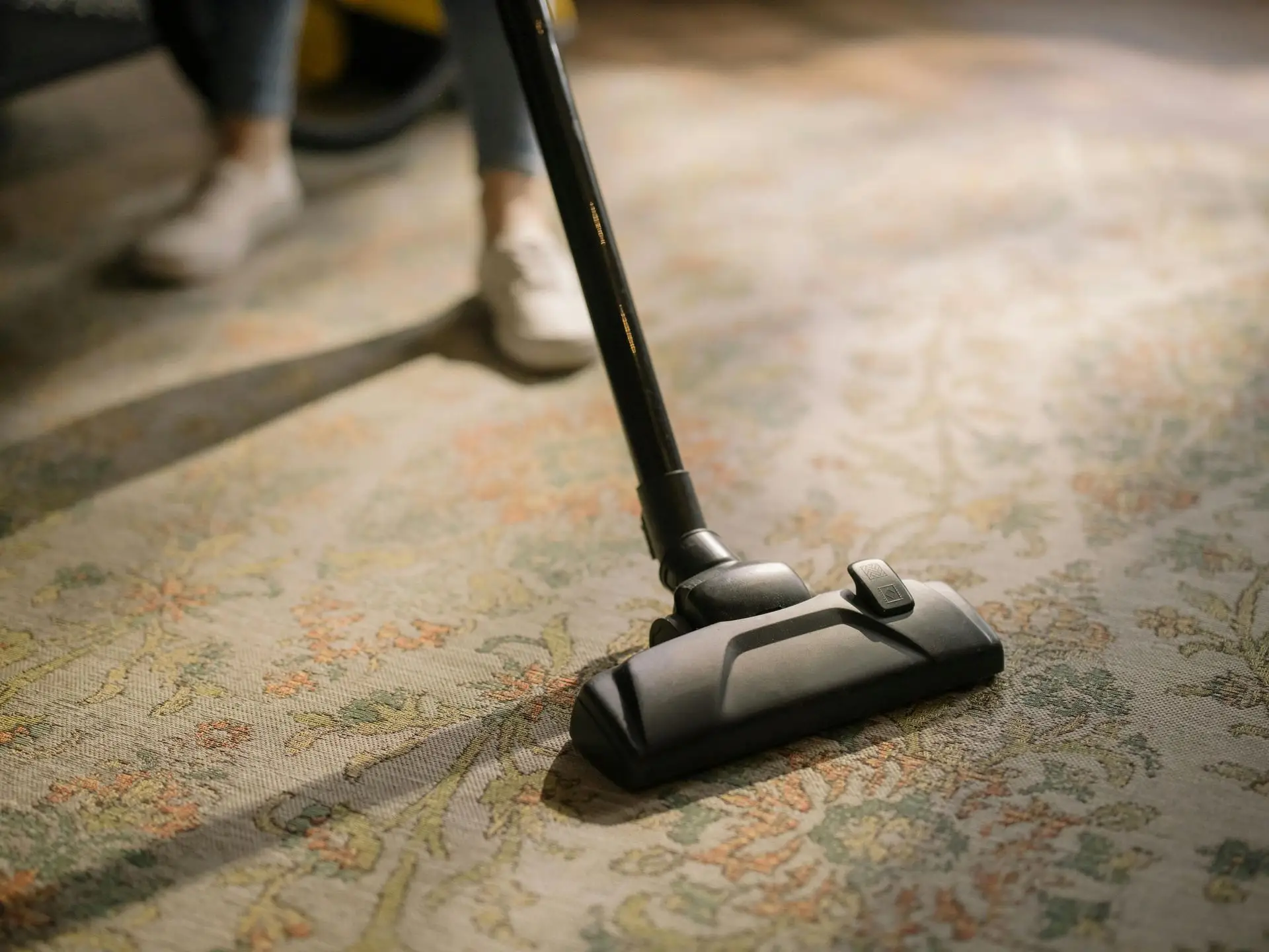 Professional Carpet Cleaning Services in Grants Pass OR